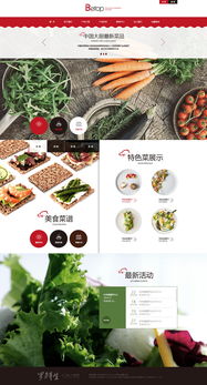 天津奔唐網(wǎng)絡(luò) 打造綠色養(yǎng)生食品官網(wǎng)的開發(fā)與維護之道